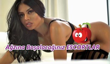 Kıbrıs Escort Tanıtımları